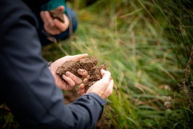  Qualitätsprüfung des Anbau- Bodens 