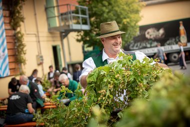  Braumeister Bernhard Löw nahm den frischen Hopfen entgegen.  
