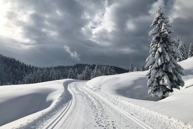  Langlaufloipe im Heutal 